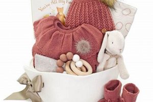 Best Unique Baby Girl Gift Baskets for Her | Gifts | Baby Care 101: Essential Tips for Happy, Healthy Babies