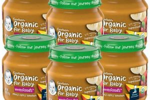 Top Organic Baby Food Jars Brands: Nutritious & Safe! Baby Care 101: Essential Tips for Happy, Healthy Babies Top Organic Baby Food Jars Brands: Nutritious & Safe! | Baby Care 101: Essential Tips for Happy, Healthy Babies