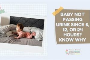 Infant Health: Baby Not Passing Urine for 12 Hours? >> Baby Care 101: Essential Tips for Happy, Healthy Babies Infant Health: Baby Not Passing Urine for 12 Hours? >> | Baby Care 101: Essential Tips for Happy, Healthy Babies