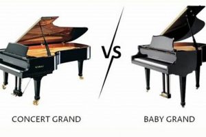 Understanding Baby Grand Piano Weight: Specs & Tips Baby Care 101: Essential Tips for Happy, Healthy Babies Understanding Baby Grand Piano Weight: Specs & Tips | Baby Care 101: Essential Tips for Happy, Healthy Babies