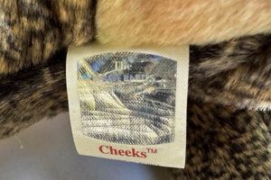 Unboxing Cheeks Beanie Baby 1999 Value: Worth It? Guide Baby Care 101: Essential Tips for Happy, Healthy Babies Unboxing Cheeks Beanie Baby 1999 Value: Worth It? Guide | Baby Care 101: Essential Tips for Happy, Healthy Babies