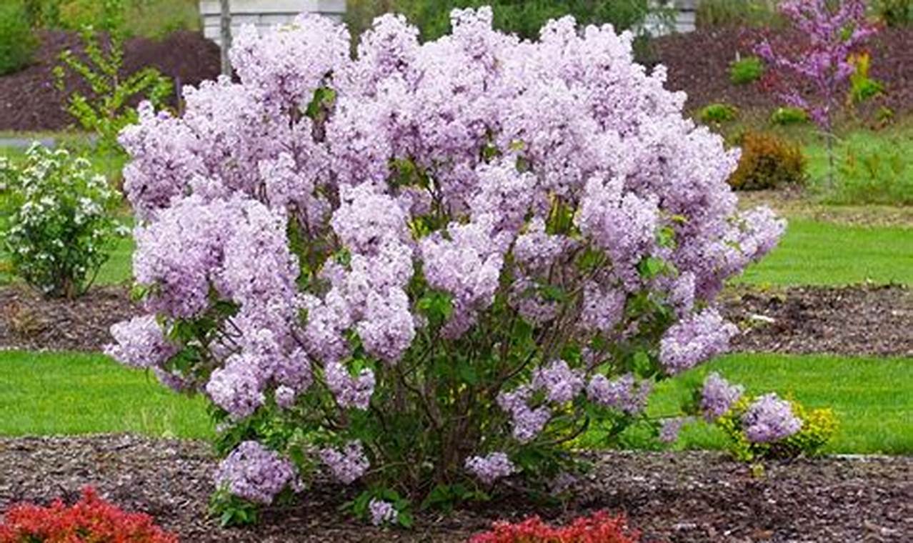 Guide to Baby Kim Products: Benefits & More! | Baby Care 101: Essential Tips for Happy, Healthy Babies