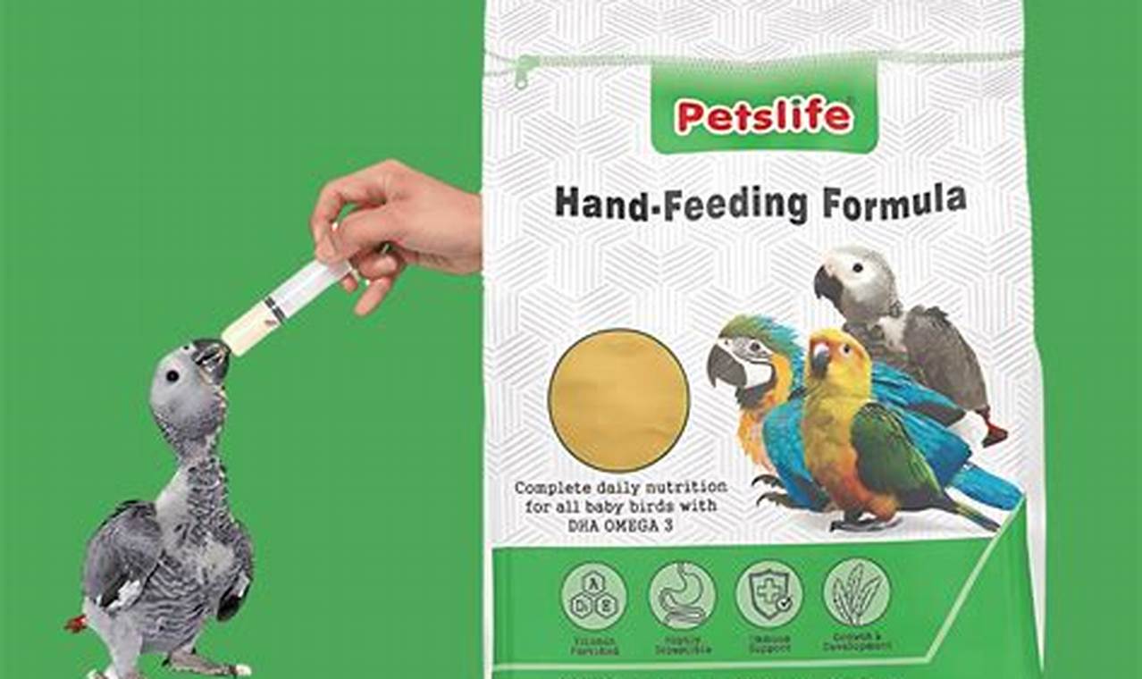 Best Baby Bird Formula: Commercial Hand-Feeding Solutions Baby Care 101: Essential Tips for Happy, Healthy Babies Best Baby Bird Formula: Commercial Hand-Feeding Solutions | Baby Care 101: Essential Tips for Happy, Healthy Babies