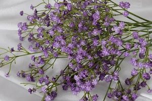 Shop Realistic Fake Baby's Breath Flowers Decor Baby Care 101: Essential Tips for Happy, Healthy Babies Shop Realistic Fake Baby's Breath Flowers Decor | Baby Care 101: Essential Tips for Happy, Healthy Babies