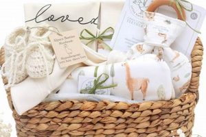 Eco-Friendly Sustainable Baby Gifts Ideas For New Parents Baby Care 101: Essential Tips for Happy, Healthy Babies Eco-Friendly Sustainable Baby Gifts Ideas For New Parents | Baby Care 101: Essential Tips for Happy, Healthy Babies