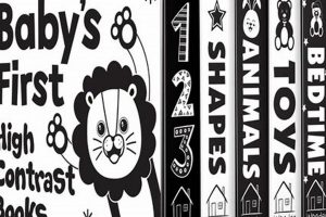 Best High Contrast Baby Books: Early Vision Fun! Baby Care 101: Essential Tips for Happy, Healthy Babies Best High Contrast Baby Books: Early Vision Fun! | Baby Care 101: Essential Tips for Happy, Healthy Babies