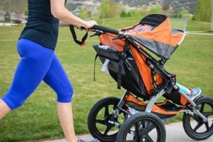 Best Jogging Stroller: Pish Posh Baby's Guide + Reviews Baby Care 101: Essential Tips for Happy, Healthy Babies Best Jogging Stroller: Pish Posh Baby's Guide + Reviews | Baby Care 101: Essential Tips for Happy, Healthy Babies