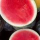 Grow Your Own: Sweet Sugar Baby Melon Guide! | Baby Care 101: Essential Tips for Happy, Healthy Babies
