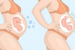 Gas or Baby? [Understanding the Difference] | Baby Care 101: Essential Tips for Happy, Healthy Babies