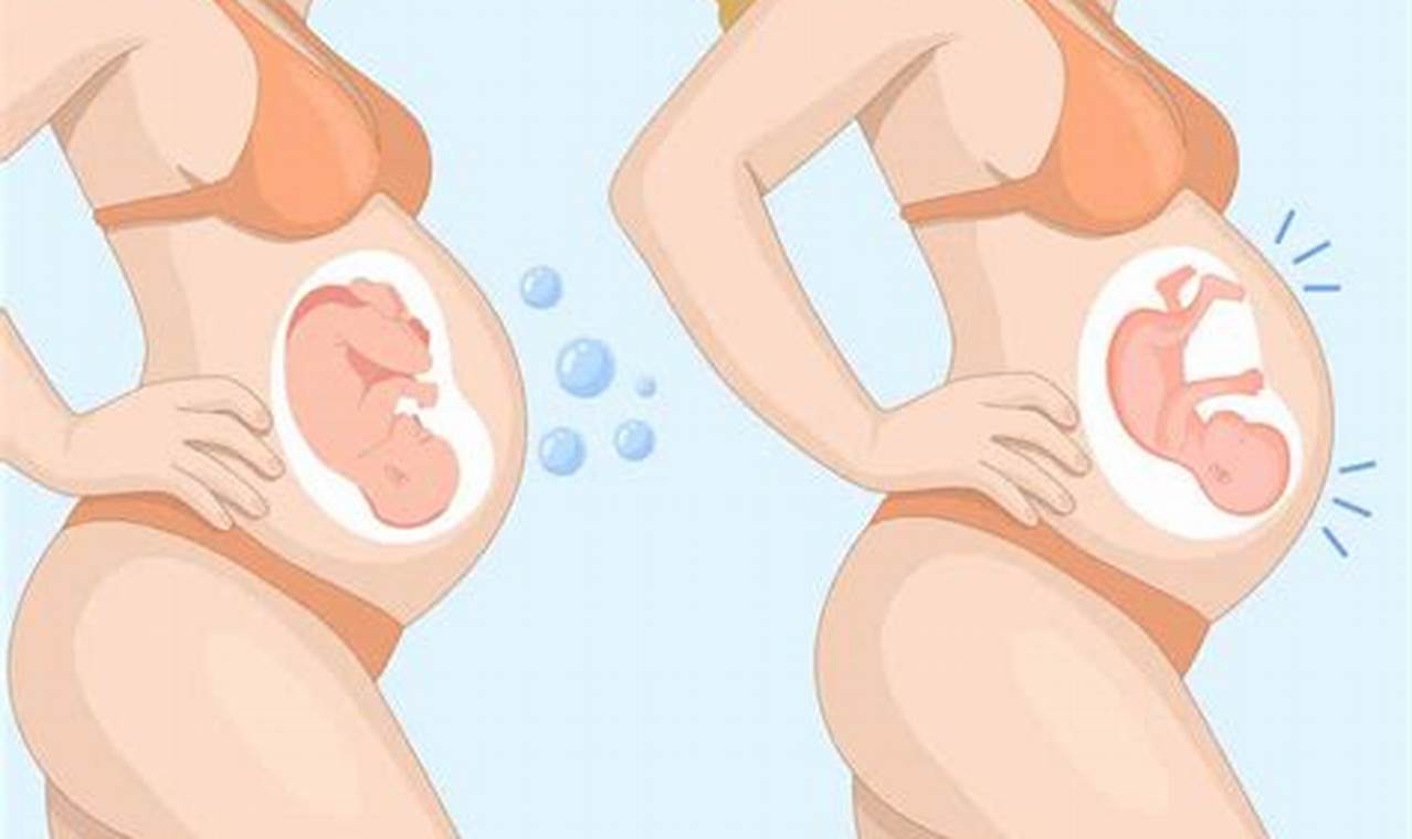 Gas or Baby? [Understanding the Difference] | Baby Care 101: Essential Tips for Happy, Healthy Babies