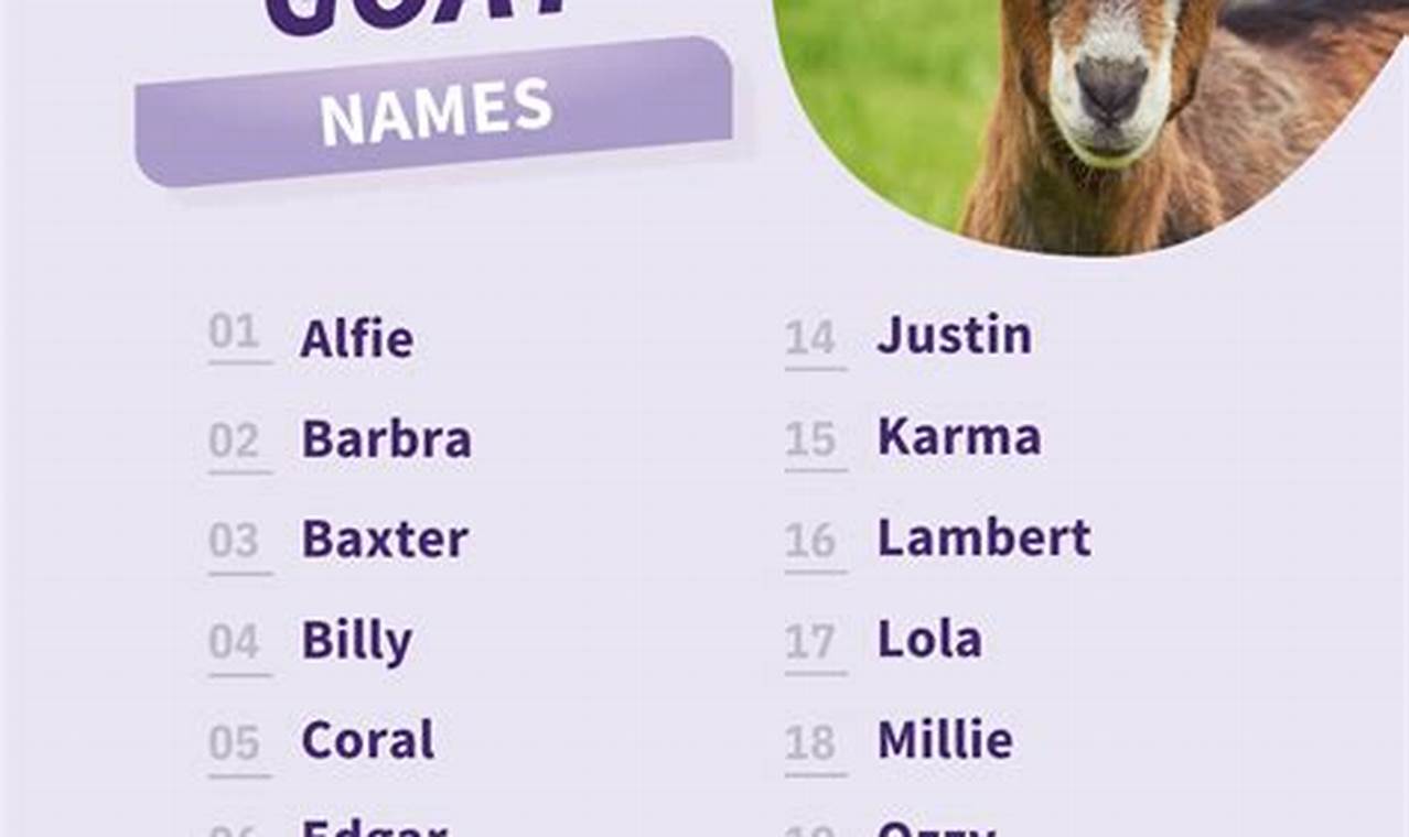 Cute & Unique: White Baby Goat Names for Girls Baby Care 101: Essential Tips for Happy, Healthy Babies Cute & Unique: White Baby Goat Names for Girls | Baby Care 101: Essential Tips for Happy, Healthy Babies