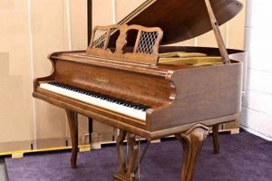 Chickering Baby Grand Piano for Babies: Sound & Style Baby Care 101: Essential Tips for Happy, Healthy Babies Chickering Baby Grand Piano for Babies: Sound & Style | Baby Care 101: Essential Tips for Happy, Healthy Babies