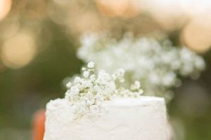 Adorable Baby's Breath Cake: Designs & Decor Baby Care 101: Essential Tips for Happy, Healthy Babies Adorable Baby's Breath Cake: Designs & Decor | Baby Care 101: Essential Tips for Happy, Healthy Babies