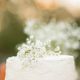 Adorable Baby's Breath Cake: Designs & Decor | Baby Care 101: Essential Tips for Happy, Healthy Babies