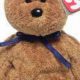 Ultimate Fuzz Beanie Baby Guide: Value & Care Tips | Baby Care 101: Essential Tips for Happy, Healthy Babies