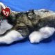 Own a Rare Thunder Beanie Baby | Collectible Plush | Baby Care 101: Essential Tips for Happy, Healthy Babies