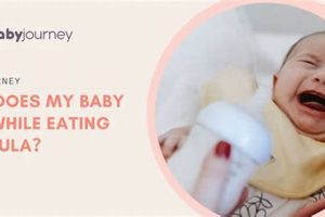 Formula Woes: Why Does My Baby Cry While Eating? | Baby Care 101: Essential Tips for Happy, Healthy Babies