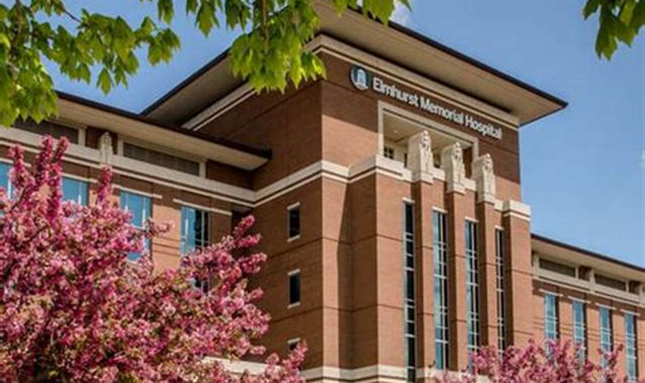 Best Baby Gifts Near Elmhurst Hospital Today! | Baby Care 101: Essential Tips for Happy, Healthy Babies