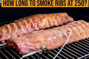Smoke Time Secret: How Long to Smoke Baby Back Ribs at 250F BBQ | Baby Care 101: Essential Tips for Happy, Healthy Babies