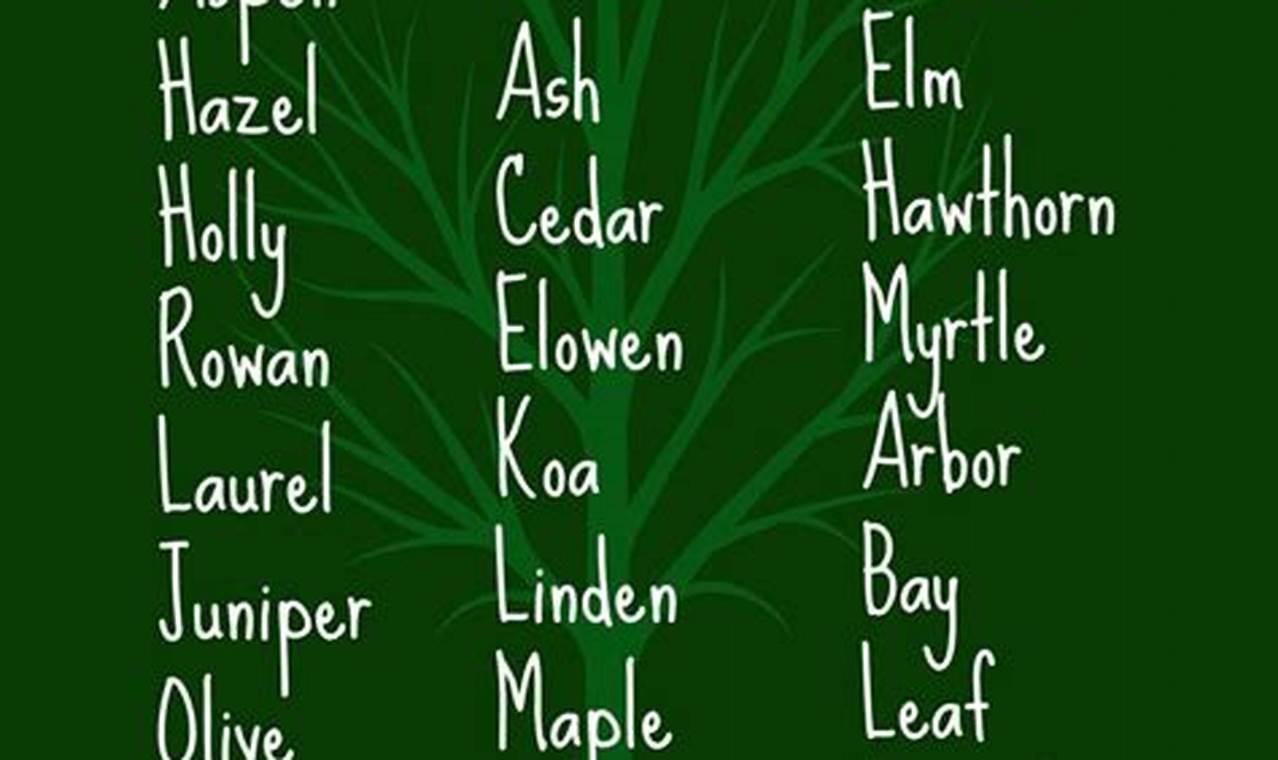 Unique Tree Baby Names [Meanings & Origins] | Baby Care 101: Essential Tips for Happy, Healthy Babies