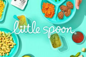 Little Spoon & Heavy Metals: Baby Food Safety Concerns | Baby Care 101: Essential Tips for Happy, Healthy Babies