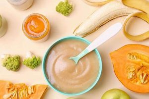 Best Baby Food with Fiber: Recipes & Benefits! Baby Care 101: Essential Tips for Happy, Healthy Babies Best Baby Food with Fiber: Recipes & Benefits! | Baby Care 101: Essential Tips for Happy, Healthy Babies