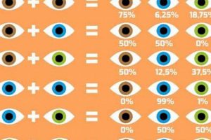 Will Baby's Eyes Be Hazel? Eye Color Calculator for You! Baby Care 101: Essential Tips for Happy, Healthy Babies Will Baby's Eyes Be Hazel? Eye Color Calculator for You! | Baby Care 101: Essential Tips for Happy, Healthy Babies