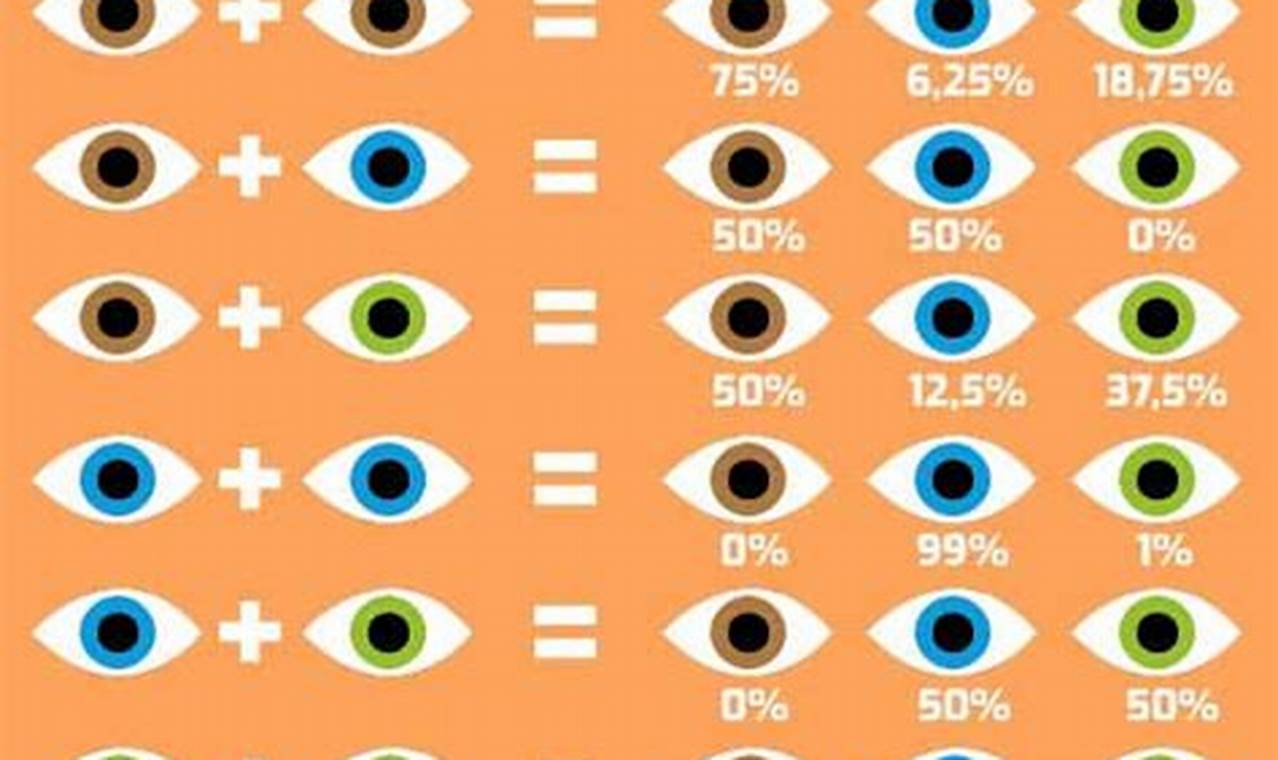 Will Baby's Eyes Be Hazel? Eye Color Calculator for You! Baby Care 101: Essential Tips for Happy, Healthy Babies Will Baby's Eyes Be Hazel? Eye Color Calculator for You! | Baby Care 101: Essential Tips for Happy, Healthy Babies
