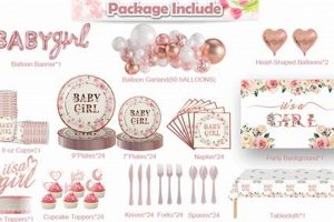 Adorable Girl Baby Shower Decoration Packages & Ideas | Baby Care 101: Essential Tips for Happy, Healthy Babies