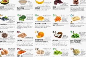 Finding Cute Baby Food Names: Ideas & More! | Baby Care 101: Essential Tips for Happy, Healthy Babies