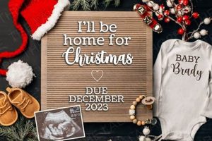Unique Christmas Baby Announcement Ideas + More! | Baby Care 101: Essential Tips for Happy, Healthy Babies