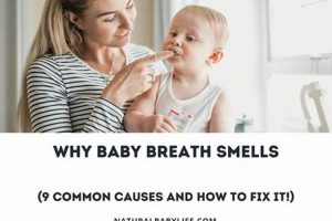 Why Baby Breath Smells Bad + How to Fix it Fast! | Baby Care 101: Essential Tips for Happy, Healthy Babies