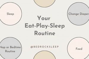 Baby Eat Sleep Play Bliss: Gentle Sleep Tips | Baby Care 101: Essential Tips for Happy, Healthy Babies