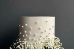 Is Baby's Breath Safe on Cake? + Decoration Tips Baby Care 101: Essential Tips for Happy, Healthy Babies Is Baby's Breath Safe on Cake? + Decoration Tips | Baby Care 101: Essential Tips for Happy, Healthy Babies