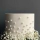 Is Baby's Breath Safe on Cake? + Decoration Tips | Baby Care 101: Essential Tips for Happy, Healthy Babies