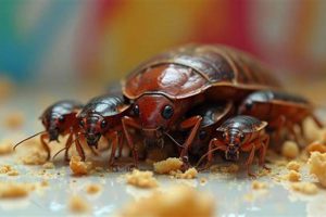 Roach Baby: Tiny Pests &amp; How to Stop Them Fast! | Baby Care 101: Essential Tips for Happy, Healthy Babies