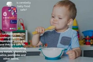 Cerebelly Baby Food: Is It Really Safe? [Risks & Facts] | Baby Care 101: Essential Tips for Happy, Healthy Babies