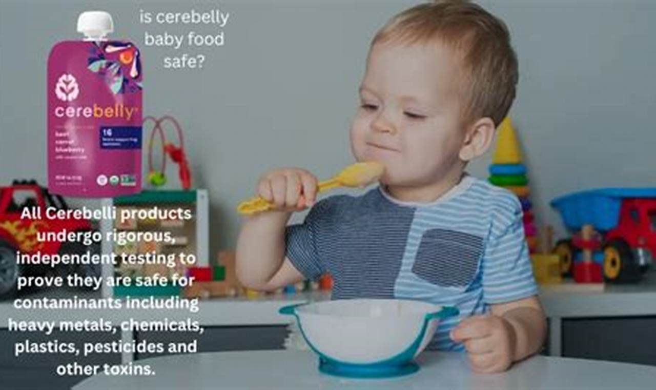 Cerebelly Baby Food: Is It Really Safe? [Risks & Facts] | Baby Care 101: Essential Tips for Happy, Healthy Babies