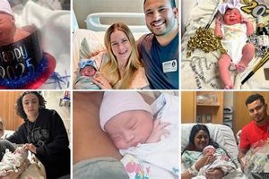 2025 Baby Boom: How Many Babies *Really* Born? Baby Care 101: Essential Tips for Happy, Healthy Babies 2025 Baby Boom: How Many Babies *Really* Born? | Baby Care 101: Essential Tips for Happy, Healthy Babies