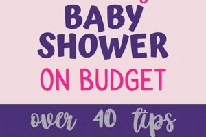 Baby Shower Budget: Tips & Tricks to Save Money! Baby Care 101: Essential Tips for Happy, Healthy Babies Baby Shower Budget: Tips & Tricks to Save Money! | Baby Care 101: Essential Tips for Happy, Healthy Babies