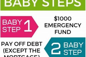 Financial Freedom: What Are Dave Ramsey's Baby Steps? Guide | Baby Care 101: Essential Tips for Happy, Healthy Babies