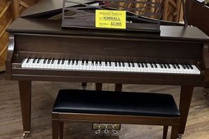 Kimball Baby Grand Piano: The Perfect First Piano! | Baby Care 101: Essential Tips for Happy, Healthy Babies