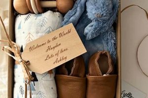 Delightful Baby Boy Gift Box Ideas: A Newborn's Joy! Baby Care 101: Essential Tips for Happy, Healthy Babies Delightful Baby Boy Gift Box Ideas: A Newborn's Joy! | Baby Care 101: Essential Tips for Happy, Healthy Babies