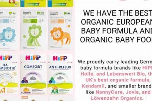 Top Best European Baby Formula Brands Today | Baby Care 101: Essential Tips for Happy, Healthy Babies