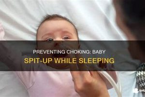 Baby Sleep Safety: Can My Baby Choke on Spit-Up? Baby Care 101: Essential Tips for Happy, Healthy Babies Baby Sleep Safety: Can My Baby Choke on Spit-Up? | Baby Care 101: Essential Tips for Happy, Healthy Babies