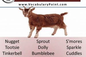 Adorable Cute Baby Goat Names: Ideas & Inspiration! | Baby Care 101: Essential Tips for Happy, Healthy Babies
