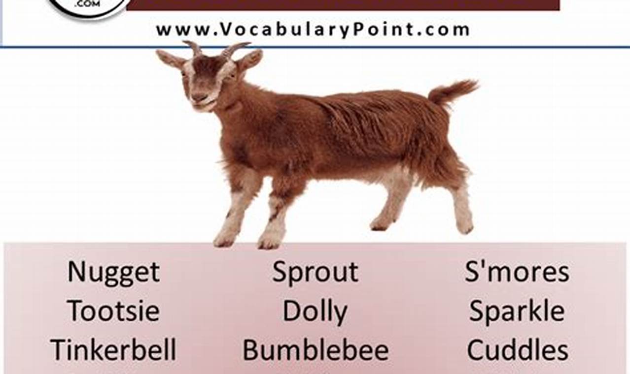 Adorable Cute Baby Goat Names: Ideas & Inspiration! | Baby Care 101: Essential Tips for Happy, Healthy Babies