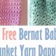 Free Crochet Patterns: Bernat Baby Blanket Yarn Projects | Baby Care 101: Essential Tips for Happy, Healthy Babies