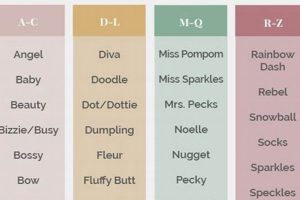 Cute Baby Chicken Names: From Chick to Hen & Rooster! | Baby Care 101: Essential Tips for Happy, Healthy Babies