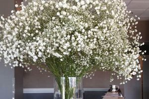 Lovely Baby's Breath Arrangement: Ideas & Decor | Baby Care 101: Essential Tips for Happy, Healthy Babies